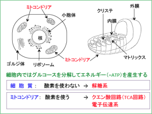 o0513038813390064217